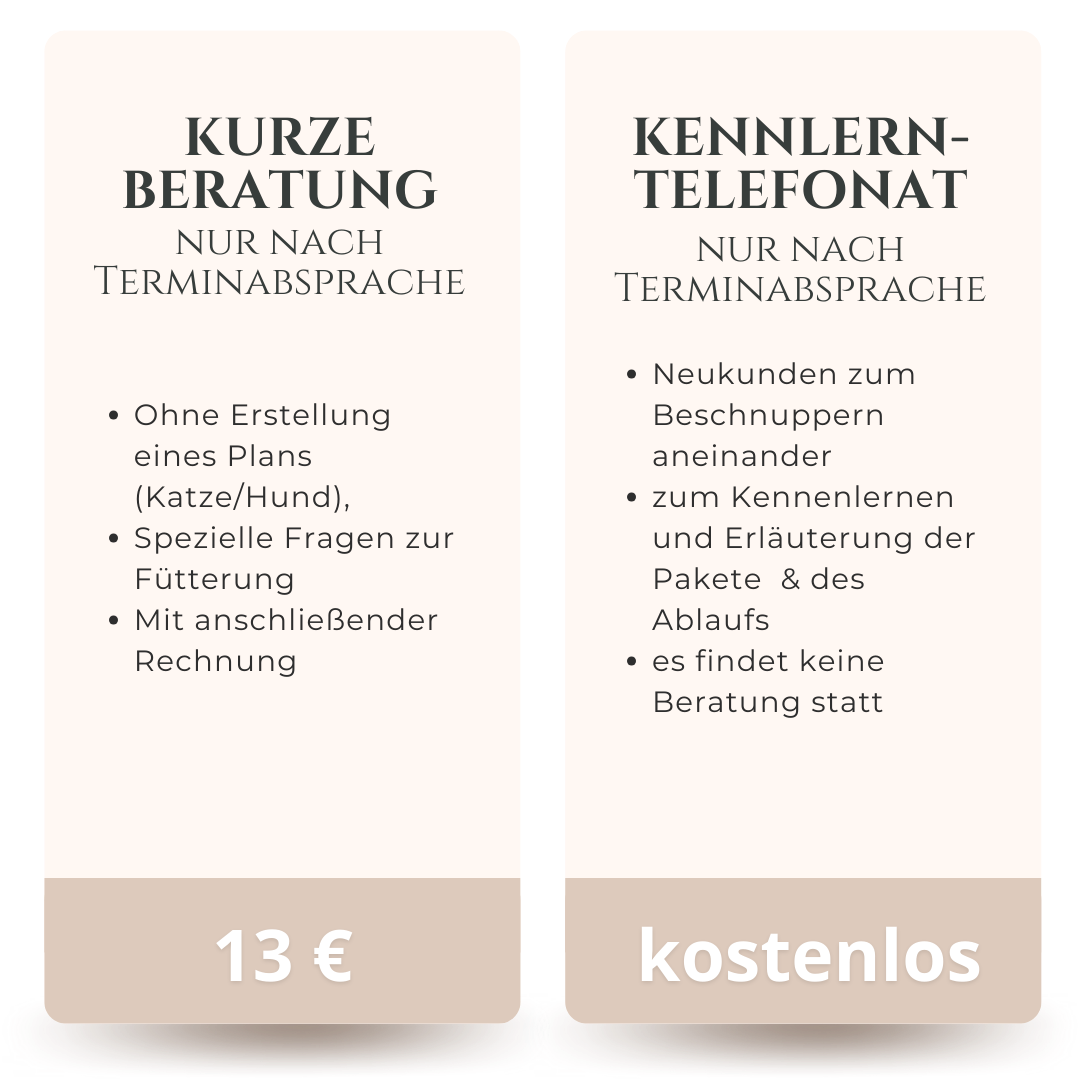 Kurze Beratung