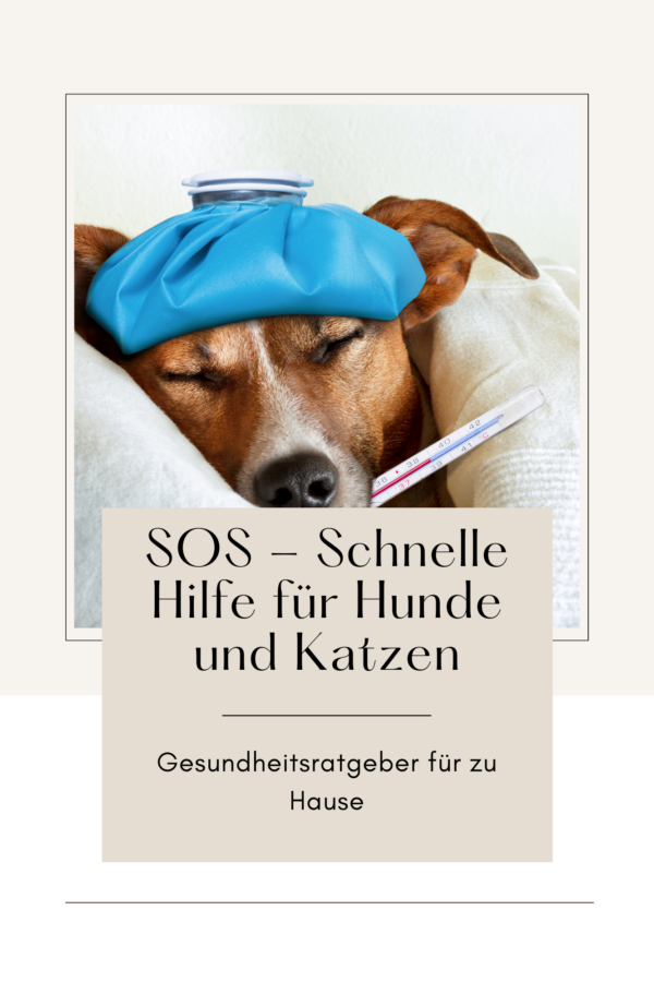 SOS Haustier: Gesundheitstipps und schnelle Hilfe für Hunde und Katzen – Bild 2