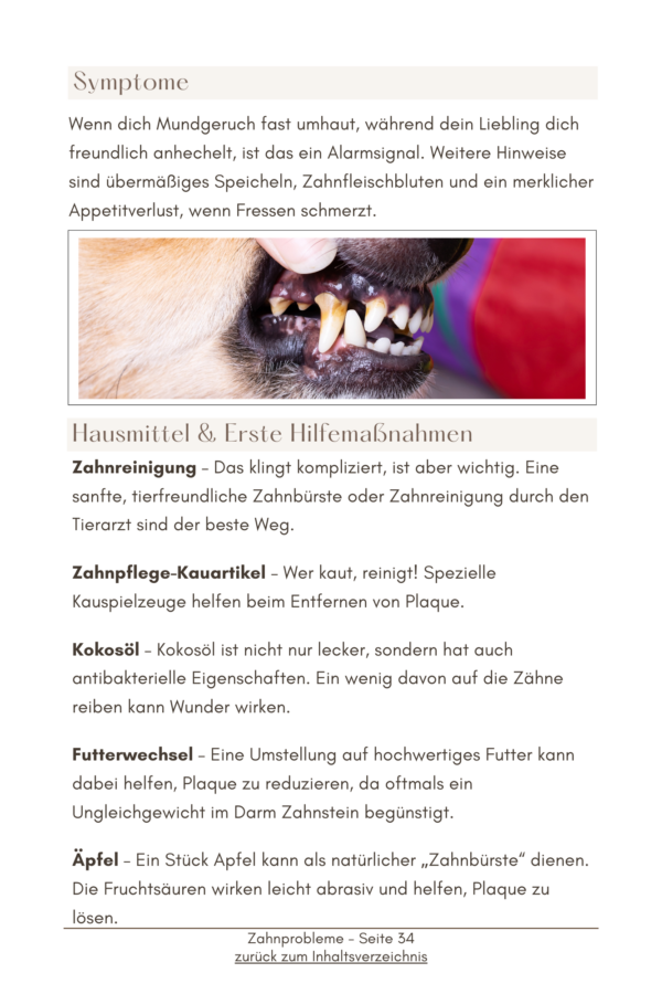 SOS Haustier: Gesundheitstipps und schnelle Hilfe für Hunde und Katzen – Bild 6