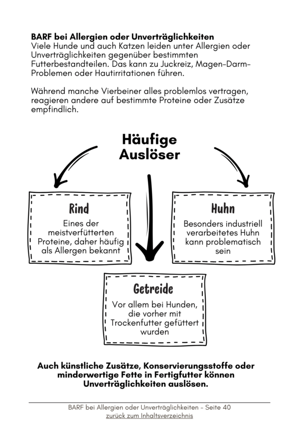 Barf mit Herz und Napf - Dein stressfreier Einstieg – Bild 5