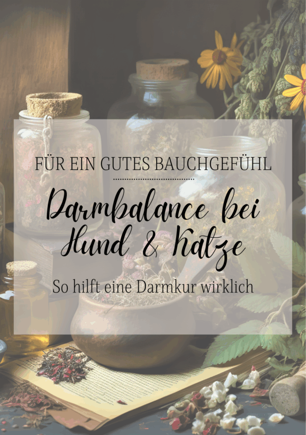 Darmbalance - So hilft eine Darmkur – Bild 7