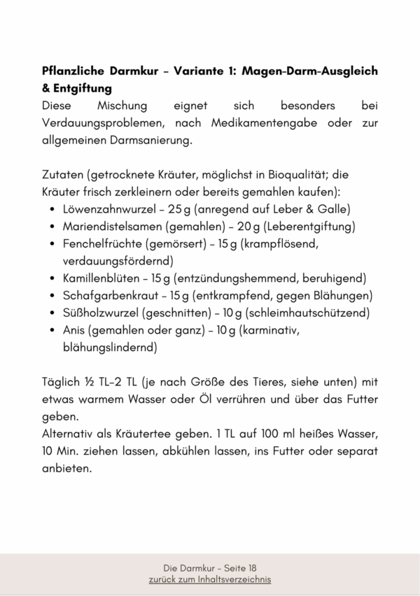 Darmbalance - So hilft eine Darmkur – Bild 4