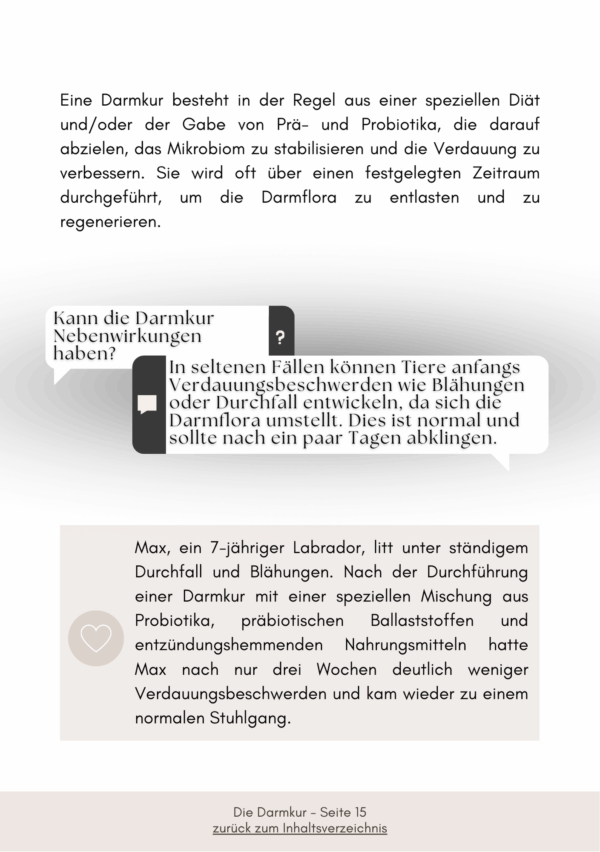 Darmbalance - So hilft eine Darmkur – Bild 5