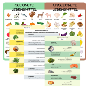 Ernährungs-Quickguide