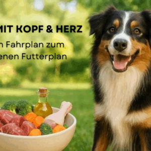 BARF mit Kopf & Herz – Dein Fahrplan zum eigenen Futterplan