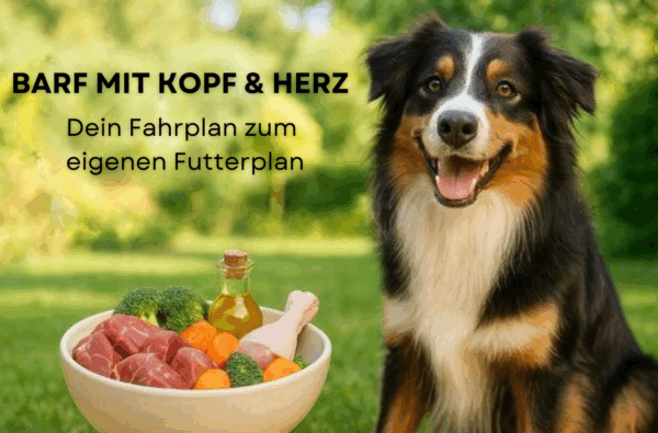 BARF mit Kopf & Herz – Dein Fahrplan zum eigenen Futterplan